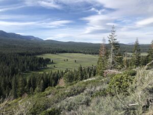 Dog Valley Trail