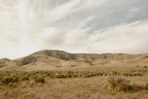 Tom Cooke Trail