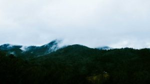 Chattahoochee National Forest
