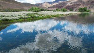 Hikes in Reno with water