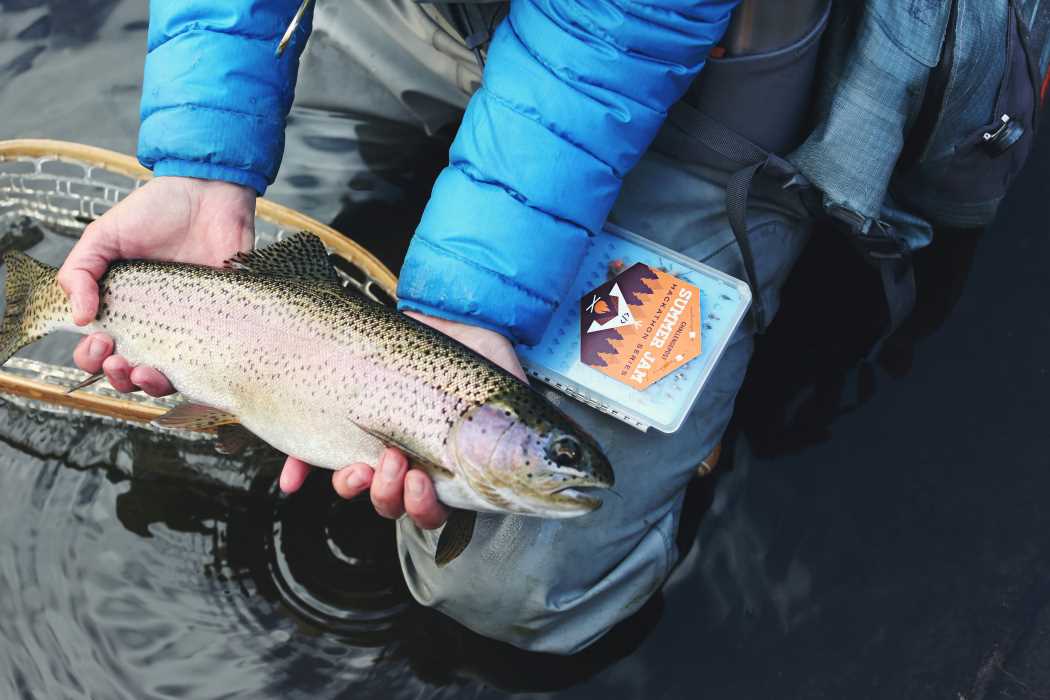 Fishing Rainbow Trout in Reno