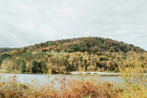 Allegheny National Forest Hunting
