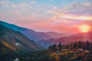 Angeles National Forest Hunting