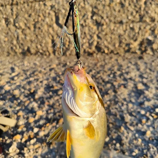 Wobbler Pike Spoon Lure Carp